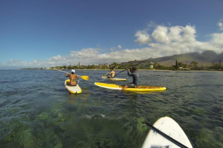 stand up paddle boarding